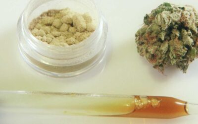 Cannabis oil helps with opioid detox